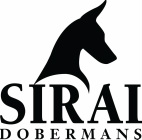 SIRAI DOBERMANS